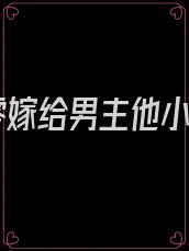 七零嫁给男主他小叔