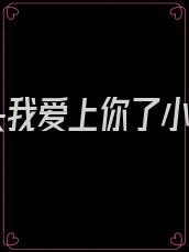 丫头我爱上你了小说