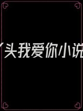 丫头我爱你小说