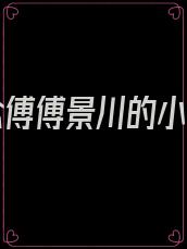 乔时念傅傅景川的小说名