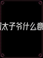 京圈太子爷什么意思