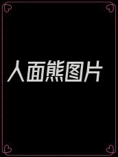 人面熊图片