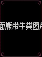 人面熊带牛粪图片