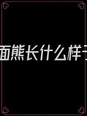 人面熊长什么样子