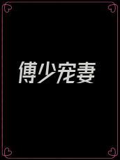 傅少宠妻
