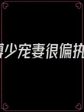 傅少宠妻很偏执
