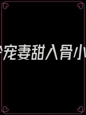 傅少宠妻甜入骨小说