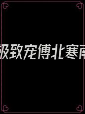傅少极致宠傅北寒南笙