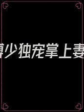 傅少独宠掌上妻