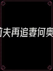 前夫再追妻何奥