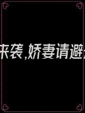 前夫来袭,娇妻请避开