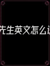 卫先生英文怎么说