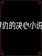复仇的决心小说