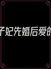 太子太子妃先婚后爱的小说