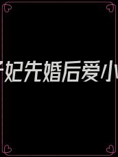 太子妃先婚后爱小说