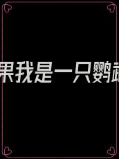 如果我是一只鹦鹉