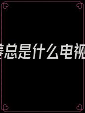 姜总是什么电视