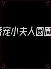 娇宠小夫人圆圈