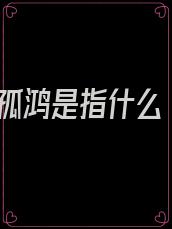 孤鸿是指什么