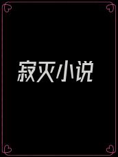 寂灭小说