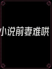 小说前妻难哄