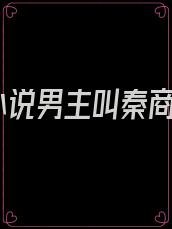 小说男主叫秦商