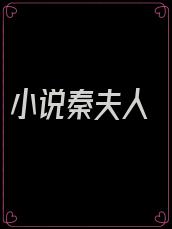 小说秦夫人