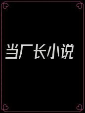 当厂长小说