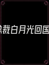 总裁白月光回国