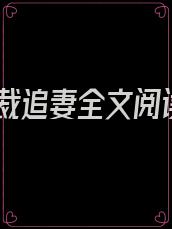 总裁追妻全文阅读