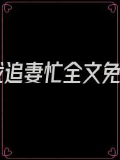 总裁追妻忙全文免费
