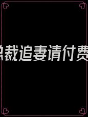 总裁追妻请付费