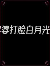 我帮婆婆打脸白月光完结