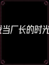 我当厂长的时光
