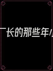 我当厂长的那些年小说