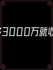 我挣够3000万就收手