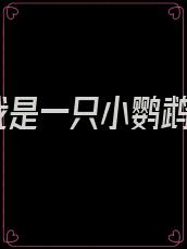 我是一只小鹦鹉