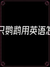我是一只鹦鹉用英语怎么说