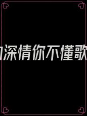 我的深情你不懂歌词