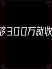 我赚够300万就收手