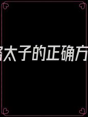 攻略太子的正确方式