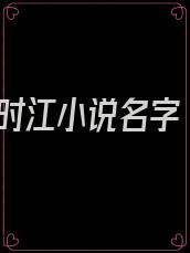 时江小说名字