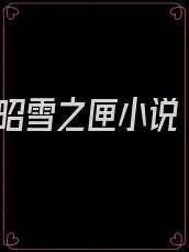 昭雪之匣小说