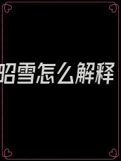昭雪怎么解释