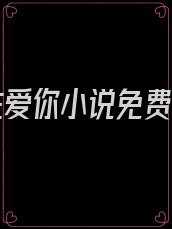 止不住爱你小说免费阅读