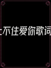 止不住爱你歌词