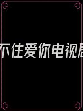 止不住爱你电视剧