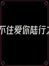 止不住爱你陆行之