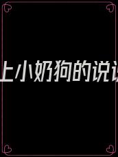 爱上小奶狗的说说