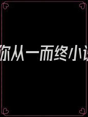 爱你从一而终小说